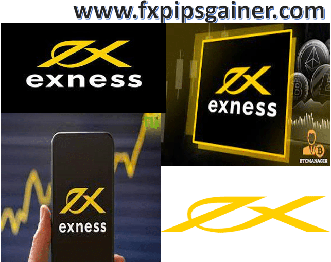 Exness FX Broker Your Gateway to Forex Trading Success